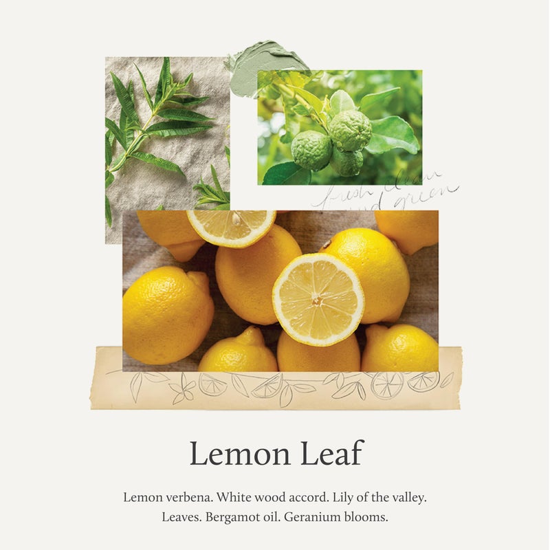 Thymes Countertop Spray - Counter Cleaner Spray - Household Cleaning Supplies (Lemon Leaf, 16.5 fl oz) - Image 2